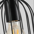 Close-up of wire cylinder cage over clear glass bulb with black metal frame